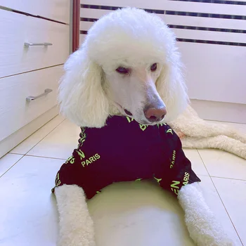 Letné Tričko pre Psa Stredne Veľké Psy Labrador Vesta List Vytlačiť Dizajn Psa Oblečenie Veľké Psy domáce Zvieratá Kostým PDC0069