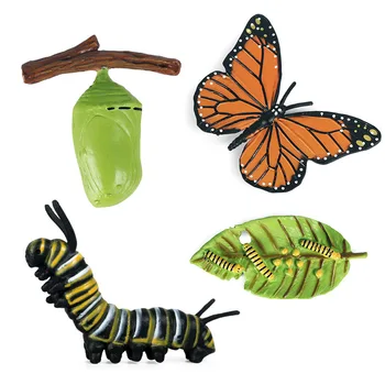 Nové Hmyz, Zvieratá, Modely, Simulácia, Motýľ Cyklu Rastu Akčná Figúrka Postavy Miniatúrne Vzdelávacie Hračky pre Deti Darček