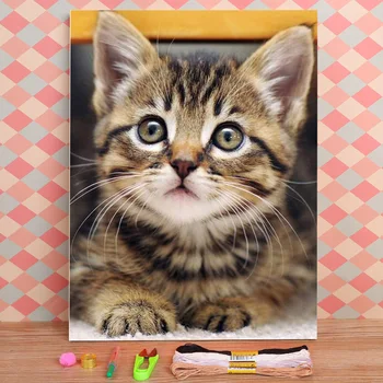 Zviera Cat Vytlačené 11CT Cross-Stitch Auta Výšivky DMC Vlákna Maľovanie Pletenie Ručné Dielo s Pečiatkou Ihly Dospelých